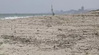 Chanclas en la playa por las astillas de las cañas que dejó la dana