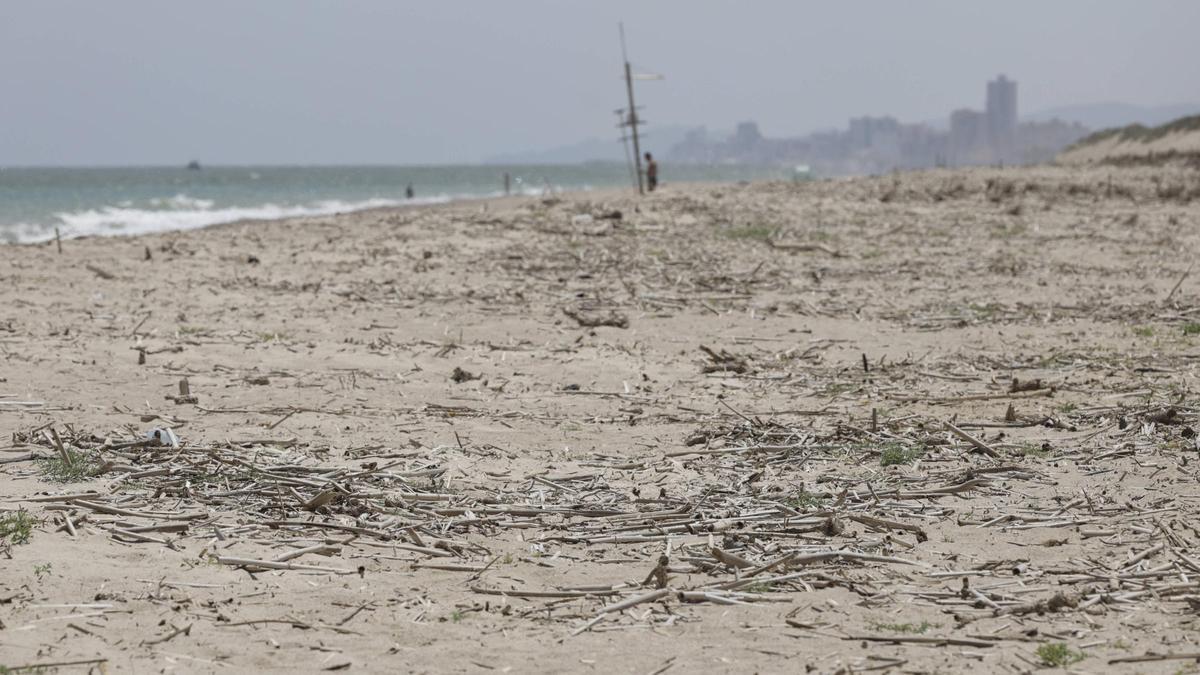 La dana provoca que las playas se llenen de cañas y suciedad