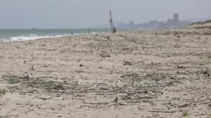 La dana provoca que las playas se llenen de cañas y suciedad