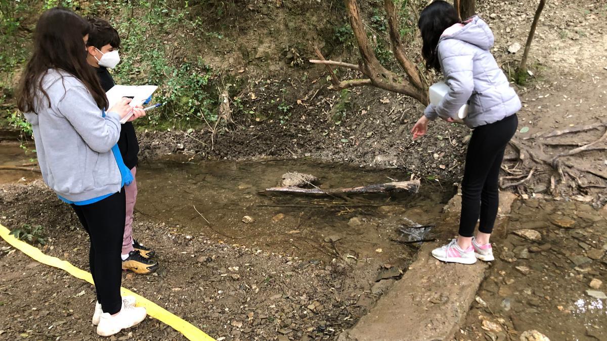 Alumnes de l&#039;escola FEDAC de Cerdanyola del Vallès al Torrent de Sant Iscle