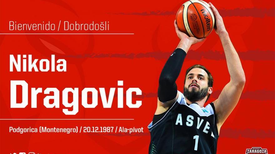 Nikola Dragovic, nueva incorporación del Tecnyconta Zaragoza