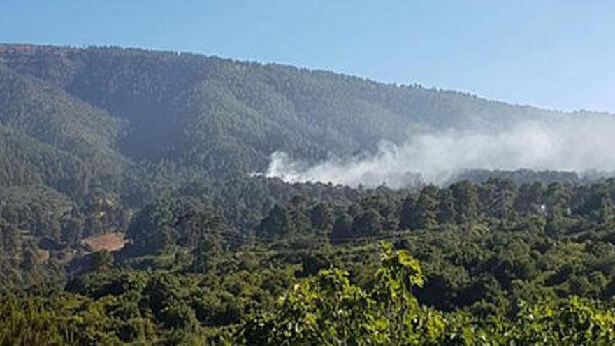 Controlado un conato de incendio en La Palma