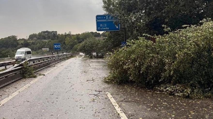 Los estragos de la tormenta: una rama corta parte de la Autovía de la Plata a la altura de la ronda de Oviedo