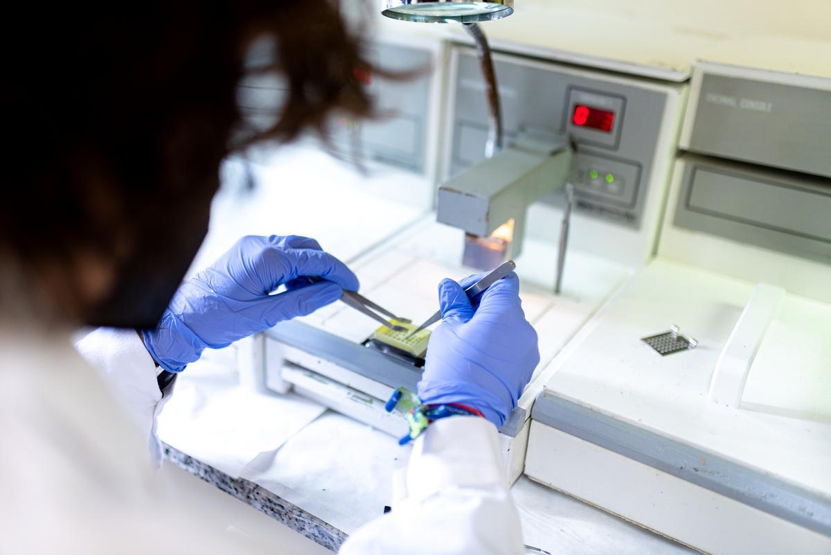 Grado Superior de Anatomía Patológica y Citodiagnóstico.