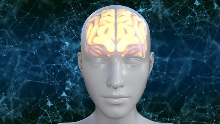 El cerebro puede repararse mediante sinapsis sintéticas