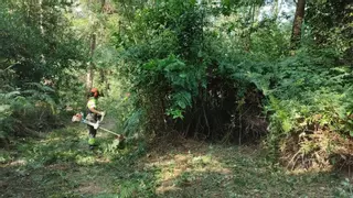 Debate incendios: ¿Está prohibido limpiar el monte en Galicia por la Agenda 2030?