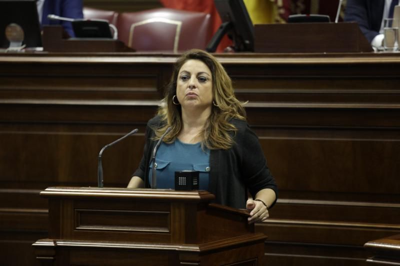 El pleno del Parlamento de Canarias continua con varias comparecencias, entre ellas varias de la consejera de Educación, María José Guerra, para abordar cuestiones como el absentismo y el abandono escolar temprano o el Plan Estratégico de Atención a la Diversidad en la Ley Canaria de Educación  | 12/02/2020 | Fotógrafo: Delia Padrón