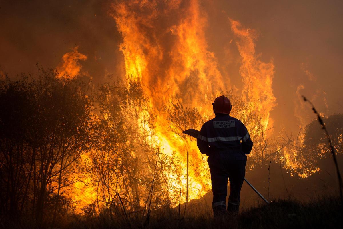 Incendio forestal en Cualedro