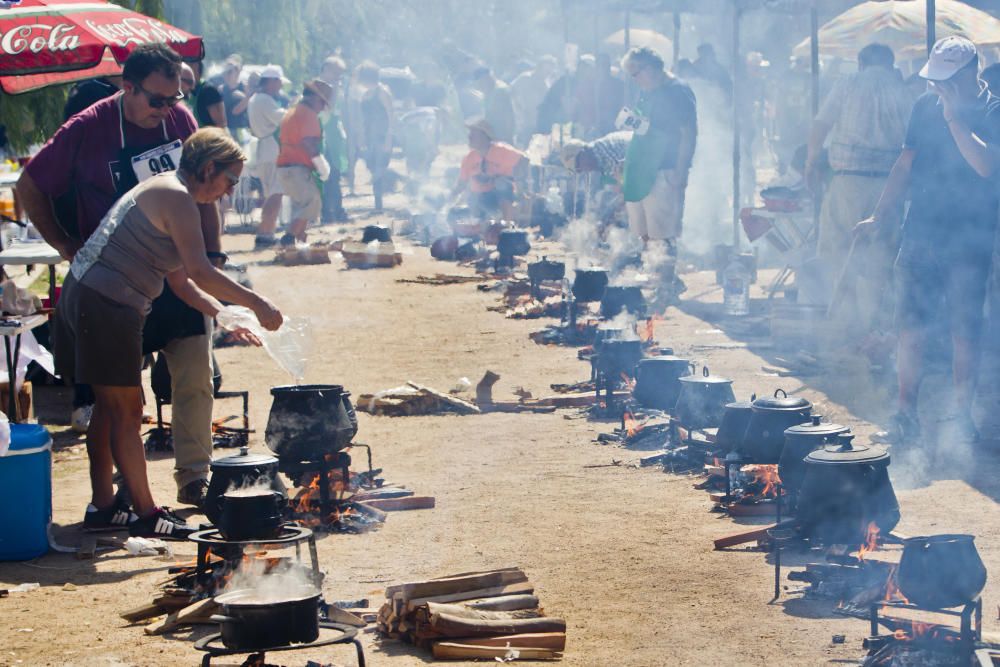 Concurso Internacional de All i Pebre en Catarroja