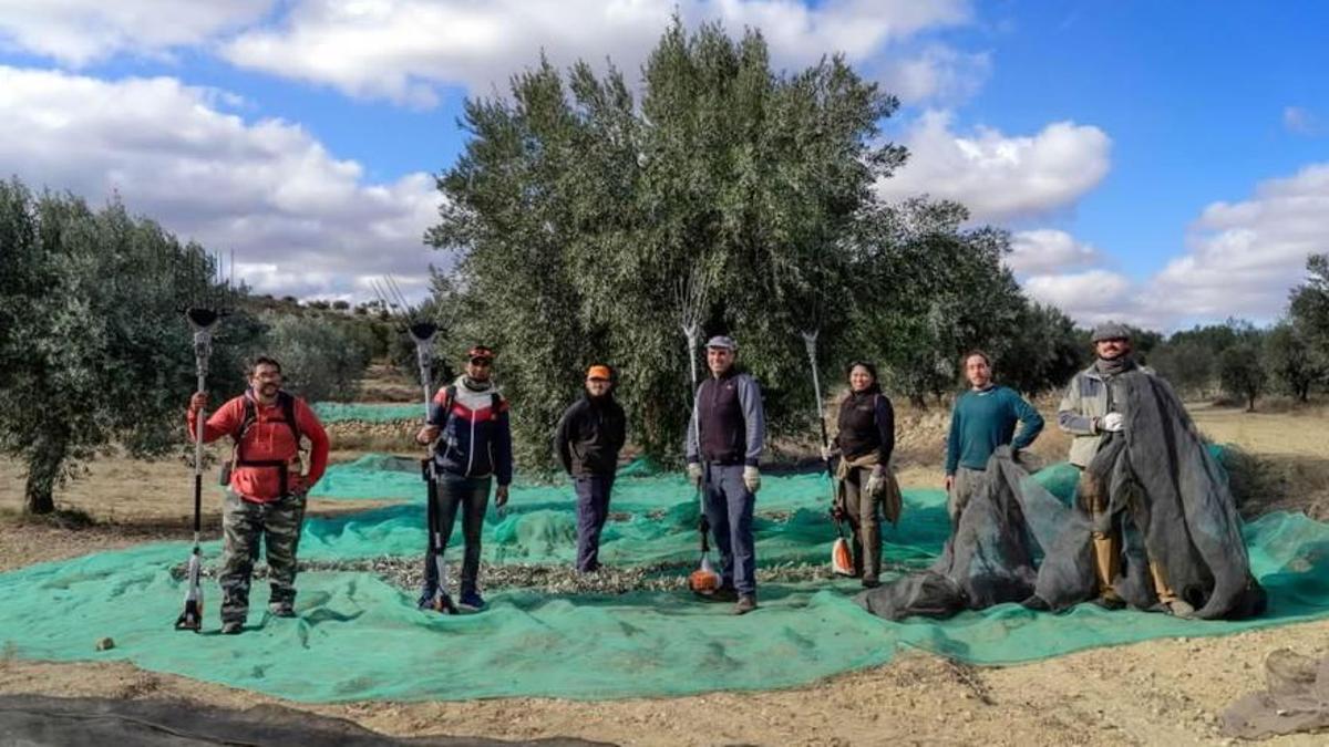 Trabajadores del campo.