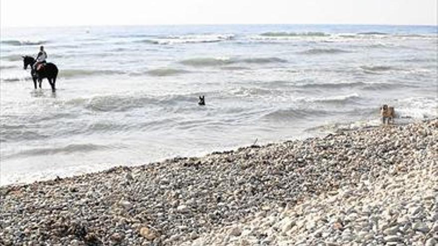 Vecinos y turistas dan una buena nota a la limpieza de las playas