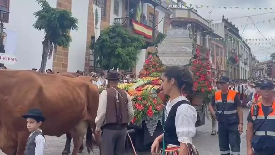 Ofrenda romería a Nuestra Señora del Pino 2024 (2)