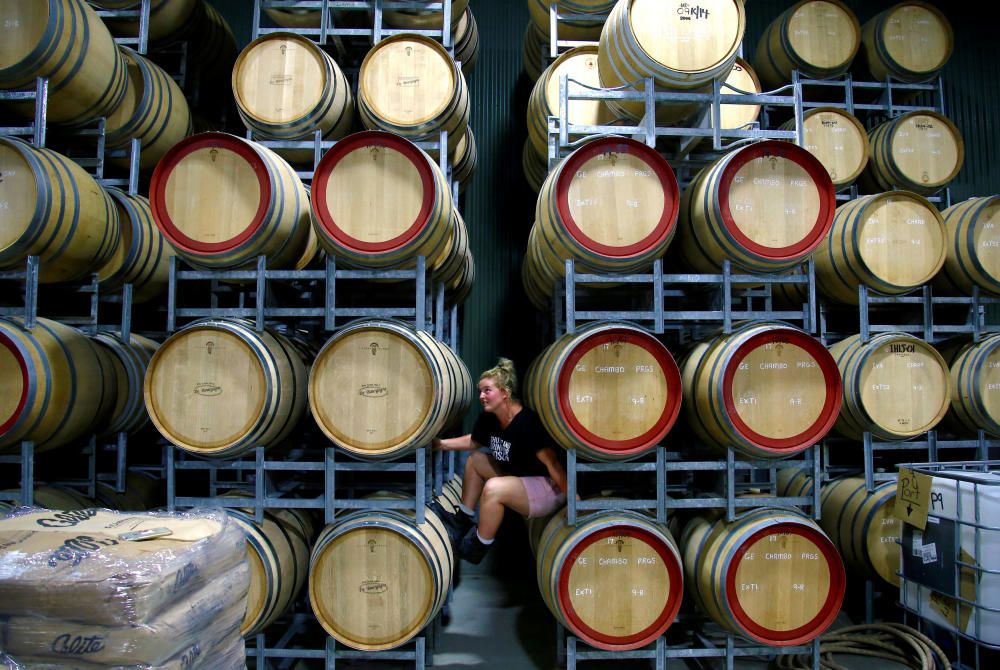 Savannah Peterson, a Trainee Winemaker and ...