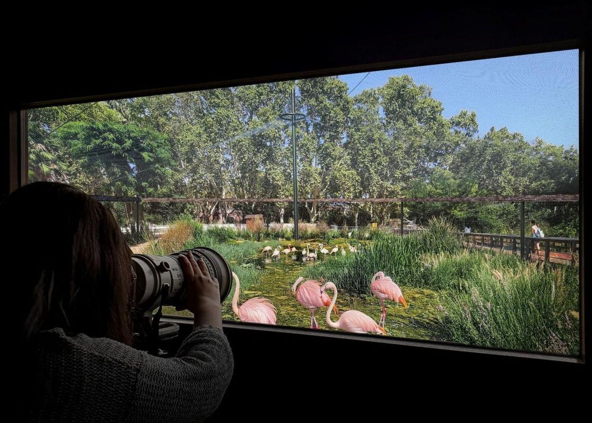 El zoo tindrà el 2030 un edifici consagrat a explicar l’evolució El zoo tindrà el 2030 un edifici consagrat a explicar l’evolució