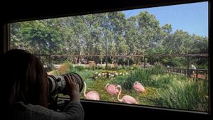 El zoo tindrà el 2030 un edifici consagrat a explicar l’evolució