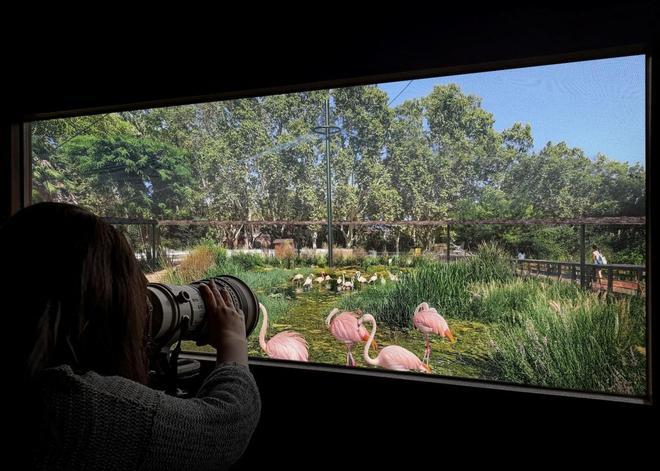 El zoo engega un concurs per dissenyar el seu centre de biodiversitat