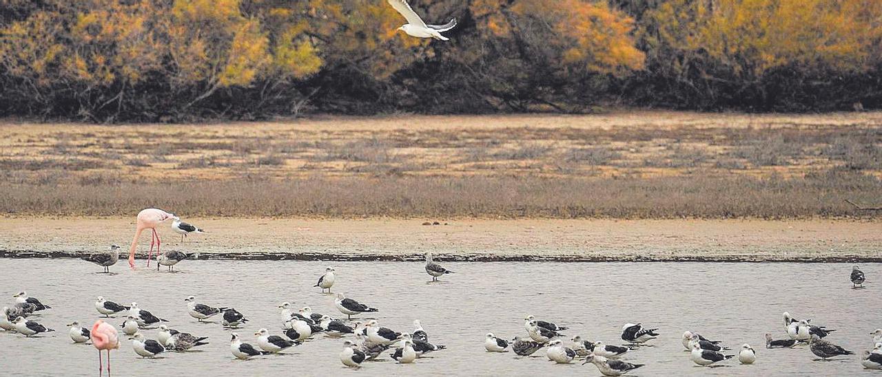 Meteorólogos de campo - Diario Córdoba