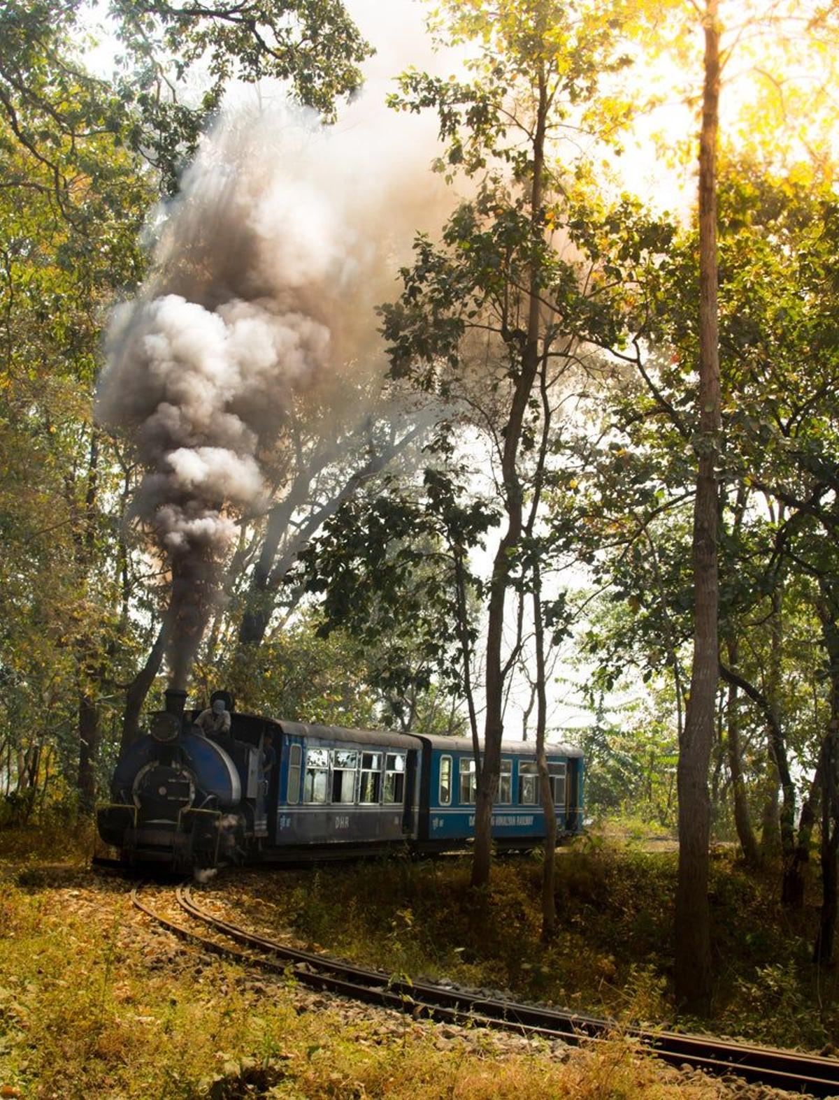Tren de juguete a Darjeeling