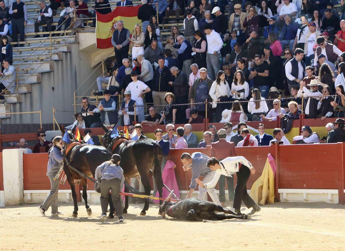 Éxito artístico en el V certamen José María Manzanares de Alicante
