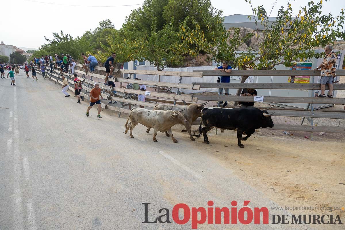 Segundo encierro de la Feria Taurina del Arroz en Calasparra