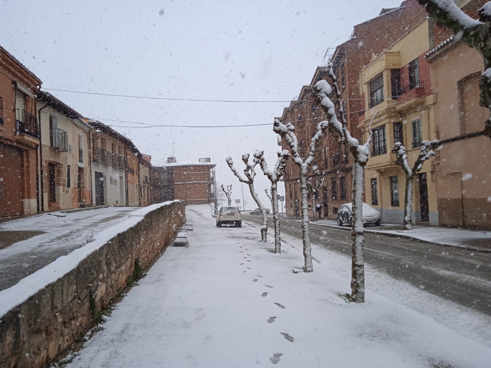 GALERIA | Así ha vivido Toro la nevada de hoy