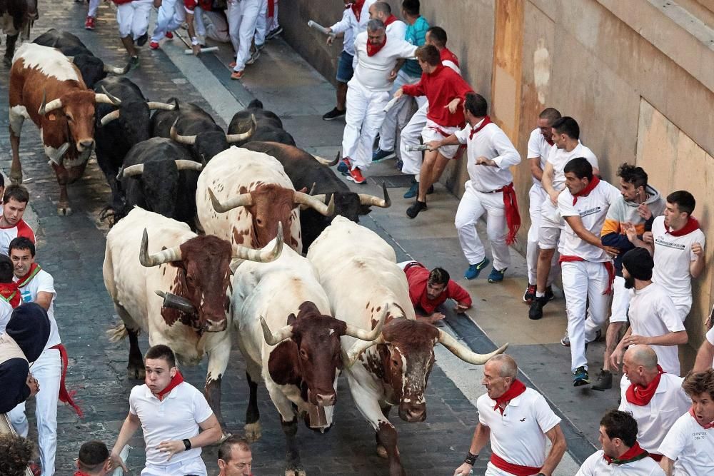 Los toros de Jandilla protagonizan el cuarto ...