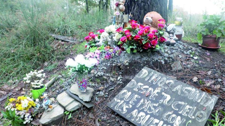 Nuevo homenaje en el lugar donde apareció el cadáver. El árbol de la cuneta de Teo donde apareció el cuerpo de la pequeña Asunta Basterra el 22 de septiembre de 2013, sigue siendo lugar de homenaje a la pequeña. Ayer se depositaron nuevos ramos de flores entre pequeñas figuritas y carteles en los que piden a la niña que revele desde el cielo “que pasó con tus abuelos”, fallecidos unos meses antes que ella. | XOÁN ÁLVAREZ