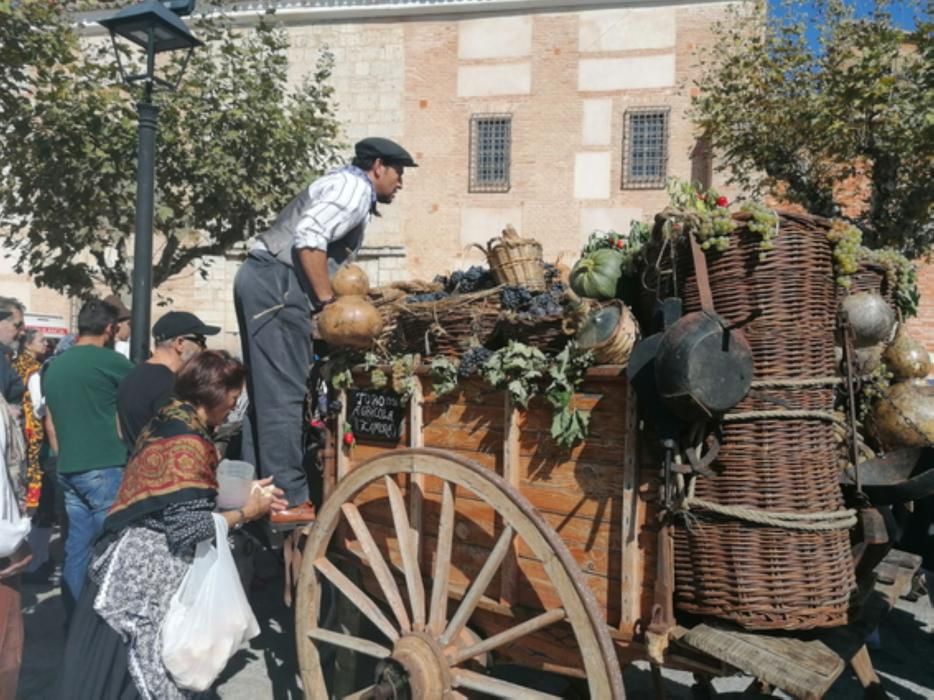 El desfile de carros de Toro, colofón de la Fiesta de la Vendimia