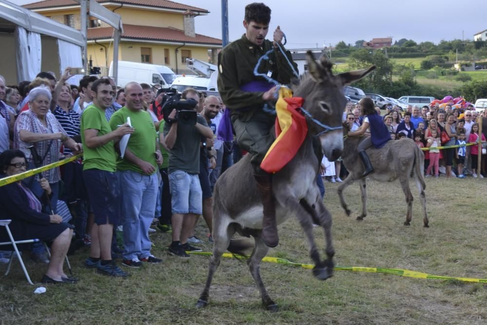 Carrera de burros en Pañeda