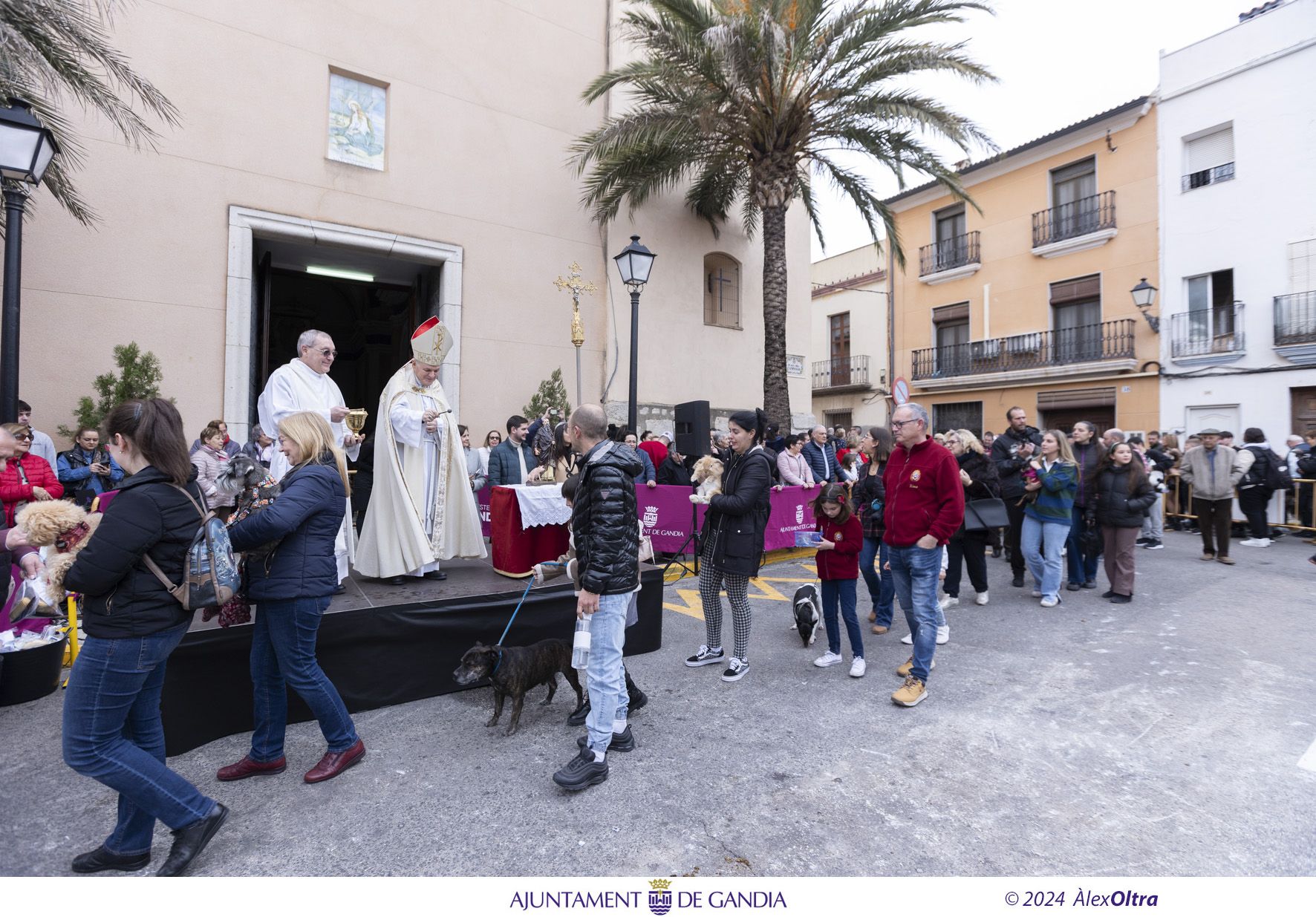 Así ha sido el 'porrat' de Sant Antoni en Beniopa