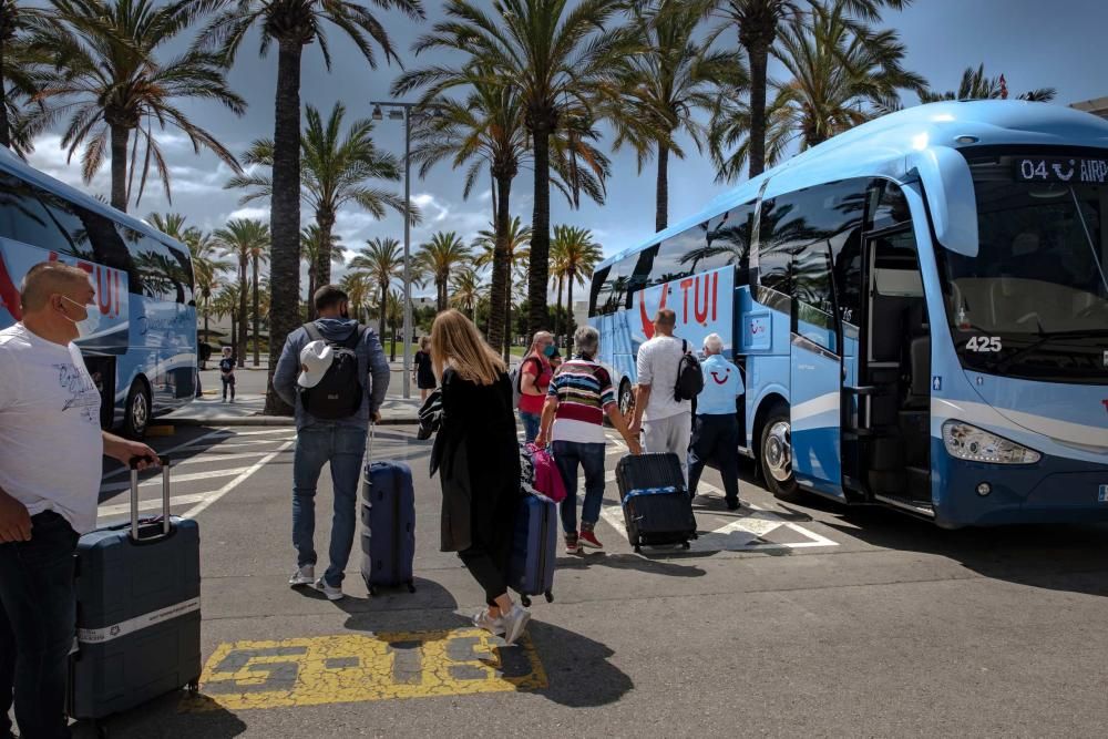 So genießen die ersten Post-Corona-Touristen Mallorca