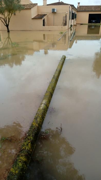 Sencelles denuncia que la falta de limpieza del torrent Solleric provoca inundaciones