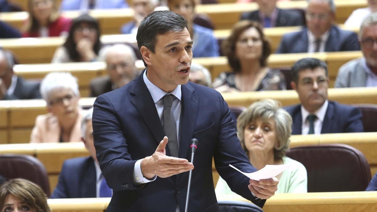 Pedro Sánchez, en el Senado