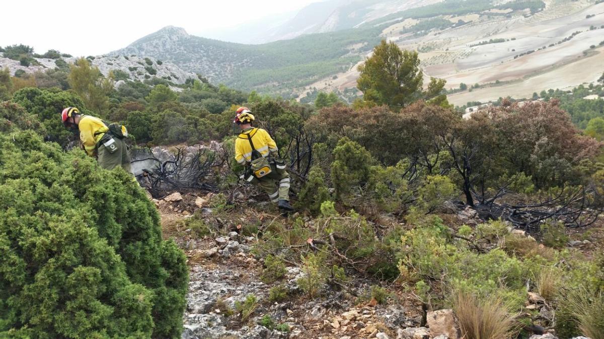 Dos bomberos tratando de apagar las llamas del incendio.