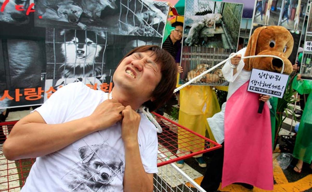 Activistes a favor dels drets dels animals protesten pel costum coreà de menjar gos a Seül, Corea del Sud.