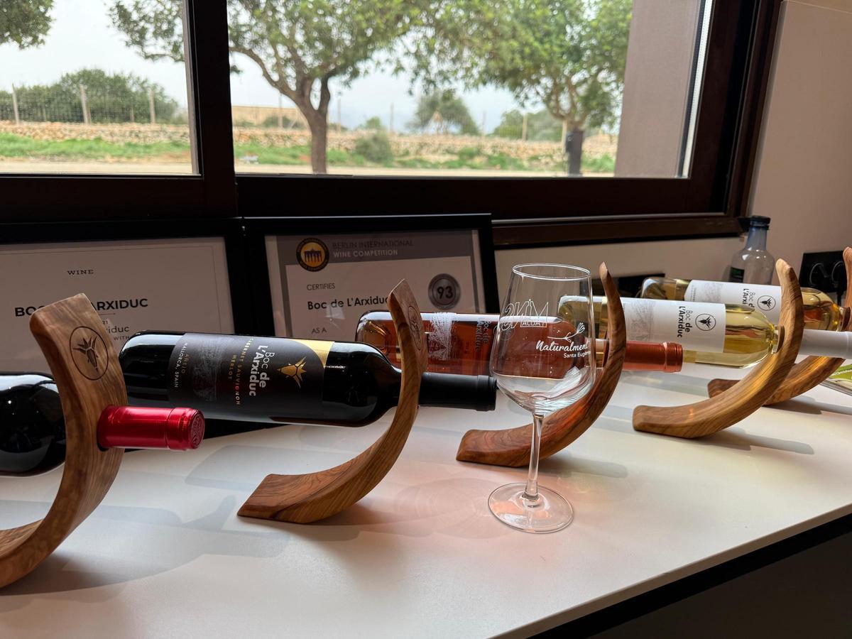 Boc de l'Arxiduc crea vinos que destacan entre la multitud.