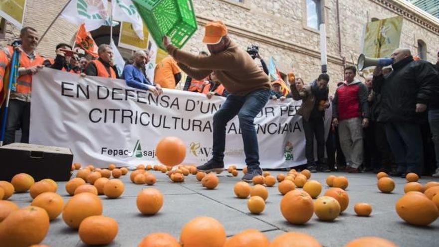 Protesta de diciembre del año pasado contra la importación de naranja sudafricana ante la Conselleria de Agricultura.