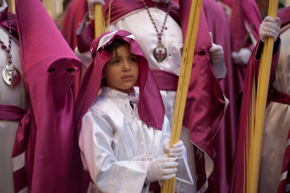 Procesión de La Borriquita