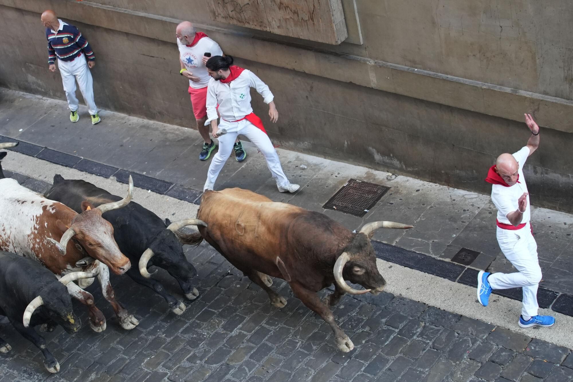PAMPLONA, 13/07/2025.- Los mozos son perseguidos por toros de la ganadería gaditana de La Palmosilla en el tramo del Ayuntamiento durante el séptimo encierro de los Sanfermines 2025 este domingo en Pamplona. EFE/ Ainhoa Tejerina