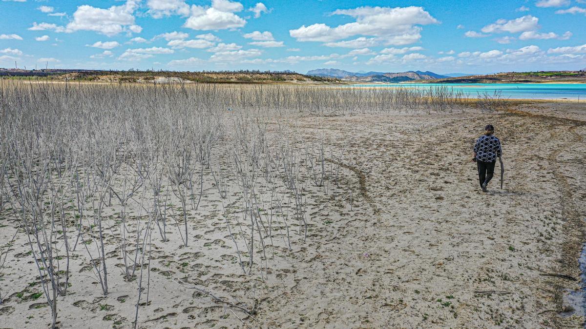 Estado del embalse de Torremendo en Orihuela que recibe los caudales del travase Tajo-Segura.