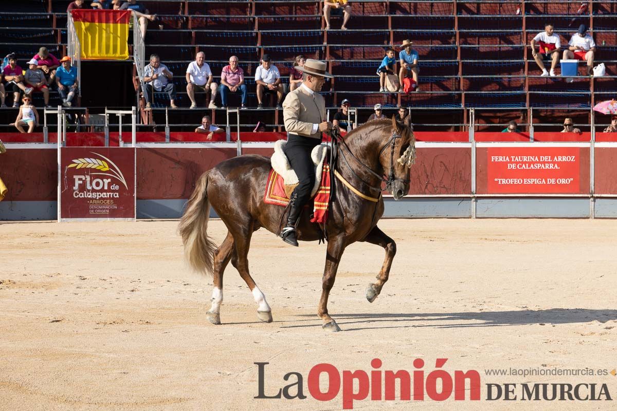 Festejo ‘Espiga de Plata’ en Calasparra