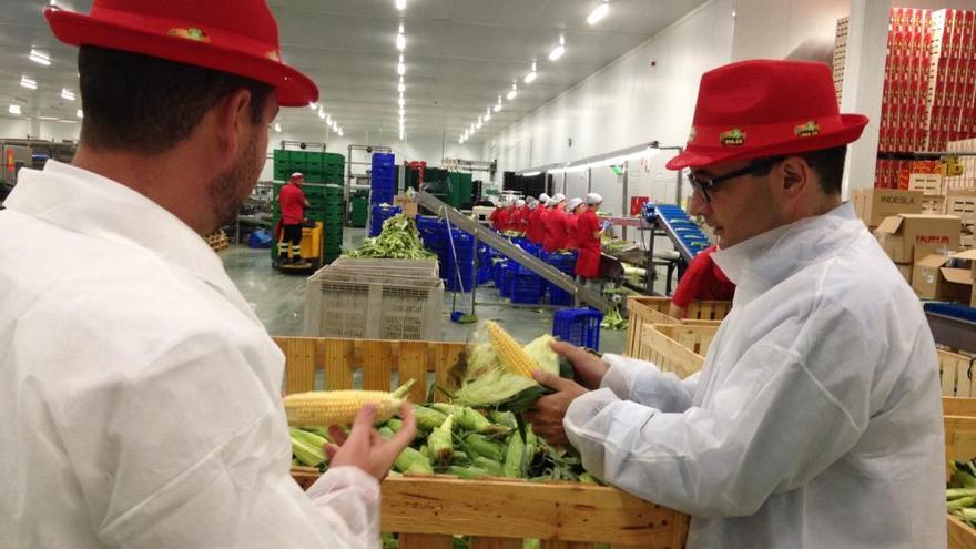 Frutas El Dulce exporta la mitad de sus productos