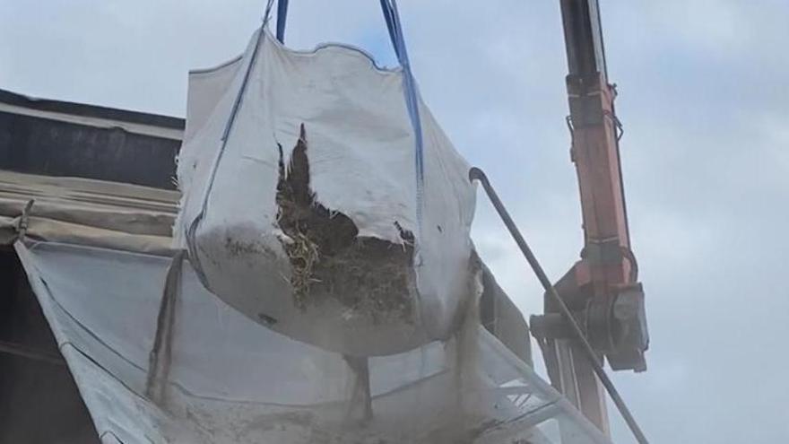 San Bartolomé de Tirajana mueve 74,1 toneladas de arena de las dunas de Maspalomas desde el paseo a Playa del Inglés cada semana