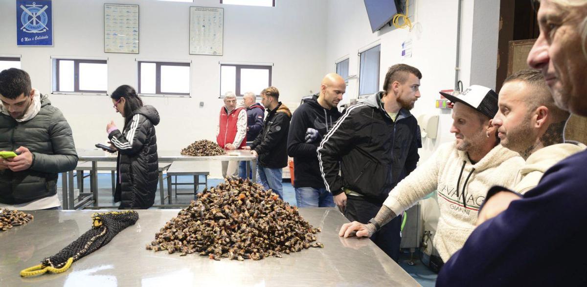 Un momento de la subasta
en la lonja de Cangas.
|Gonzalo Núñez