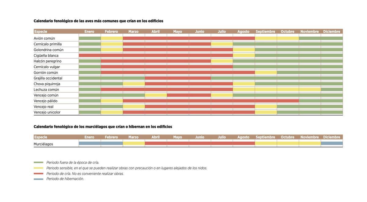 Calendario fenológico de las aves más comunes y los murciélagos que crían en edificios.