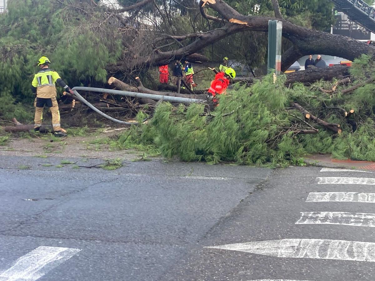Los bomberos retiran árboles caídos en Villa del Río.