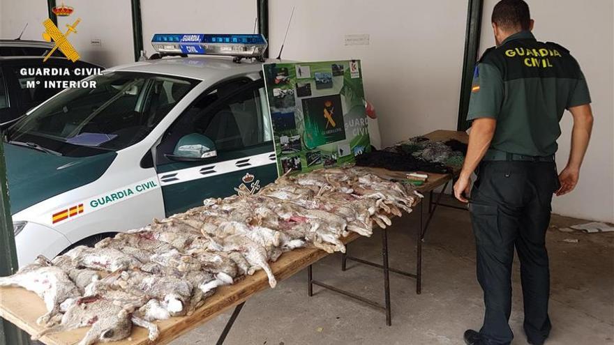 Interceptadas cuatro personas con 43 conejos cazados furtivamente con hurones