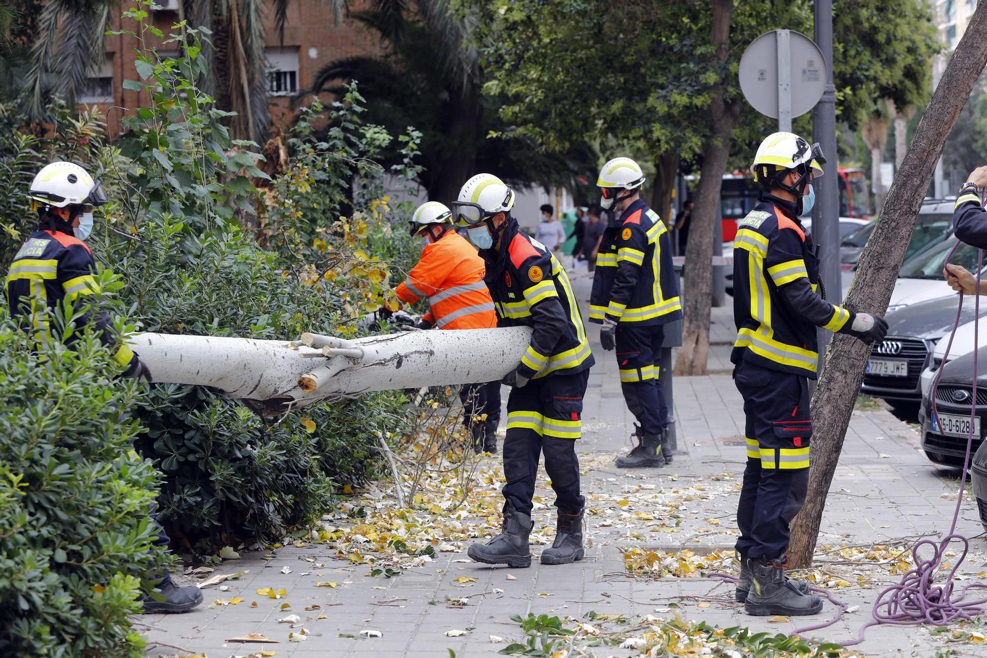 Daños provocados por el fuerte temporal de viento y lluvia en València