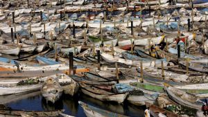 Cayucos en el puerto pesquero de Nuadibú (Mauritania).