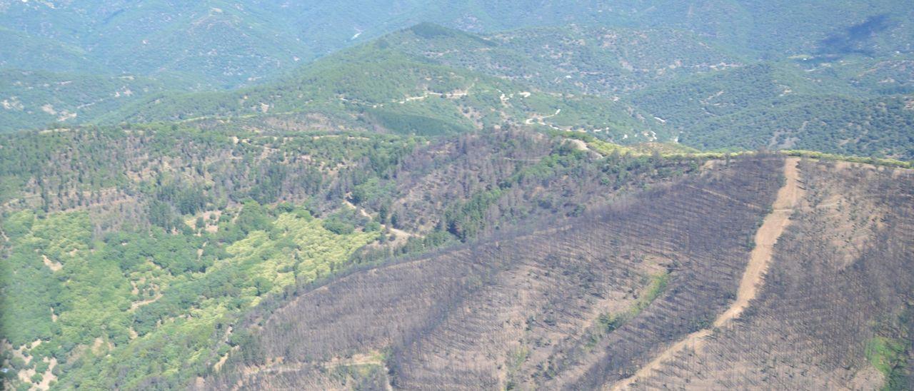 Contraste de las zonas abrasadas por el fuego y las que se mantienen verdes. / INFOCA